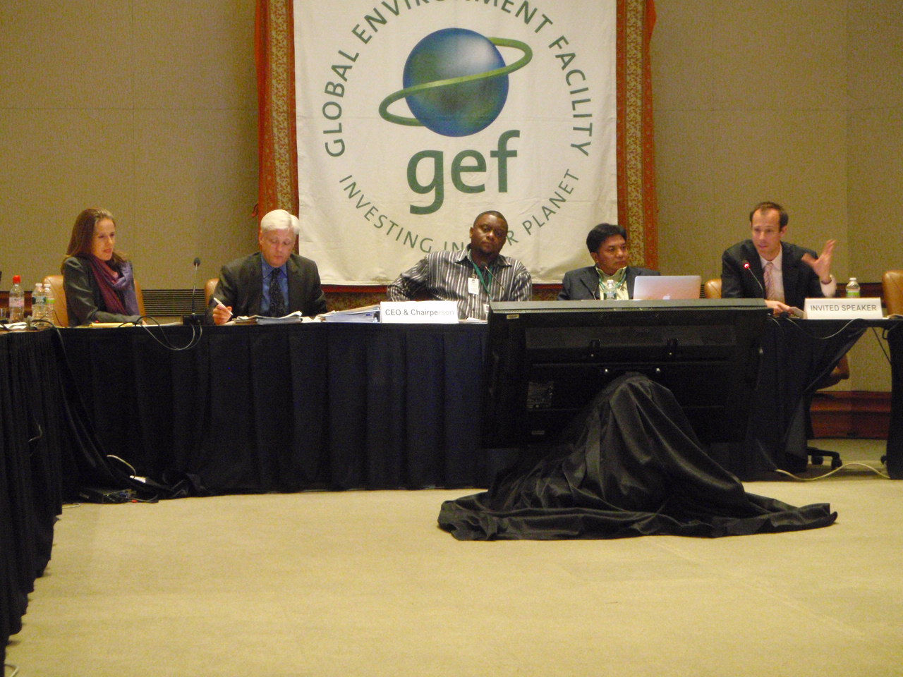 Chairing the Panel on Private Public Partnerships in the GEF World Bank Washington DC